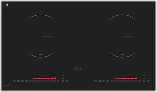 Bếp từ Topy TP-A55 Plus